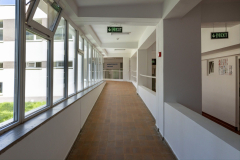 WhatsApp-Image-2025-08-20-at-10.20.37_530d99fa